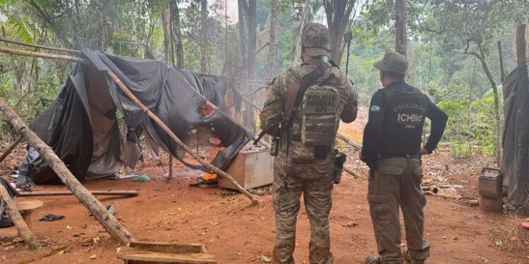 Operação combate garimpo ilegal de ouro no Pará