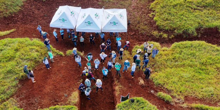 PR: Estudo aponta perda de nascentes e assoreamento de rios em áreas rurais