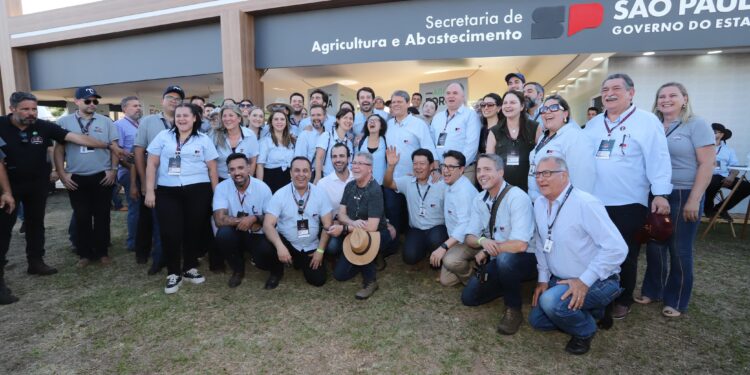 SP: Feicorte é encerrada com saldo positivo para o agro do estado
