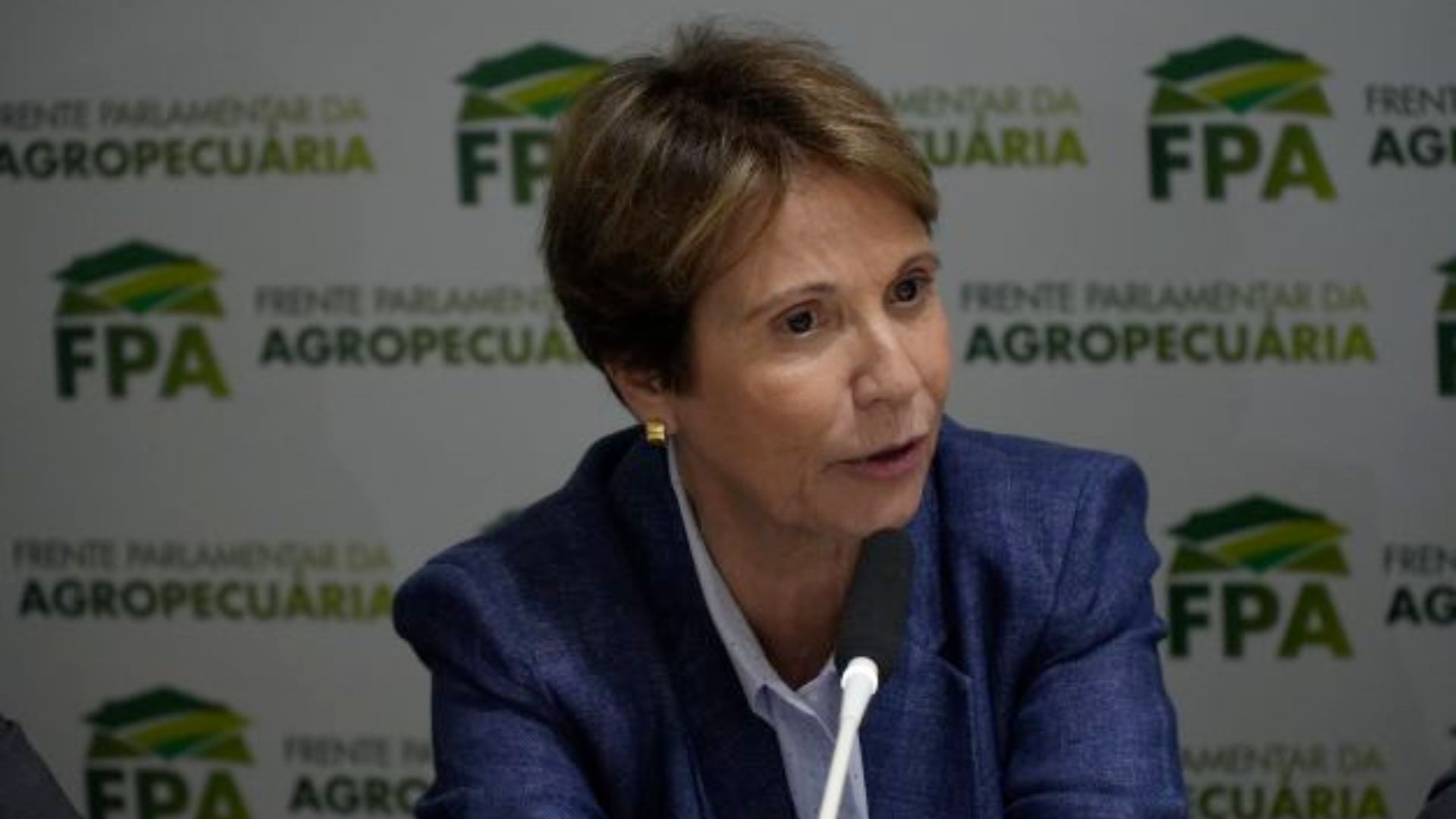 Tereza Cristina critica retratação do Carrefour sobre carne brasileira