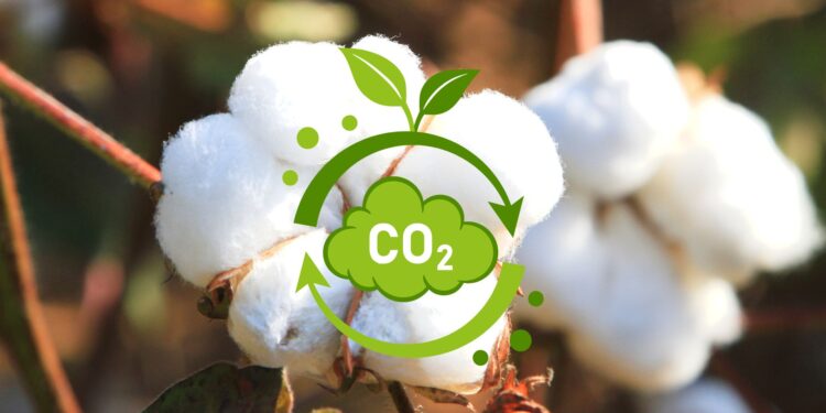 Projeto mede pegada de carbono do algodão brasileiro