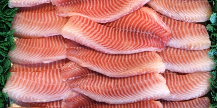 Exportações de tilápia crescem em meio à queda de preços no mercado interno