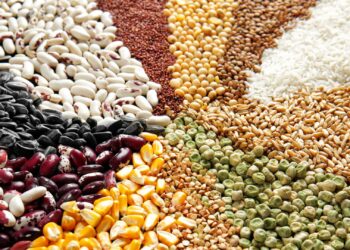 Conab estima safra de grãos 2024/25 em 322,53 milhões de toneladas