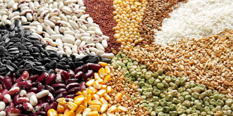 Conab estima safra de grãos 2024/25 em 322,53 milhões de toneladas