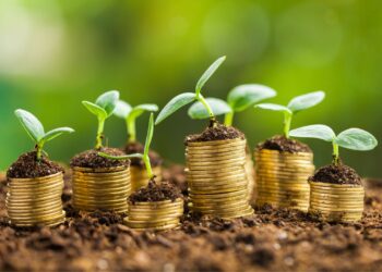 Projeto prevê uso de títulos ambientais como instrumento financeiro