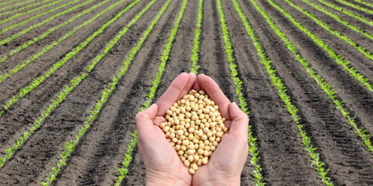 Impulsionado pelo agro, Centro-Oeste lidera crescimento regional em 2023