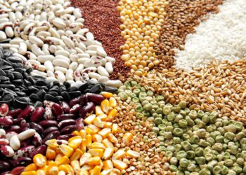 Estimativa para colheita mundial de grãos aponta aumento na demanda e redução de estoque