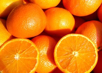 Valor Bruto da Produção atingirá R$1,31 trilhão na safra 24/25