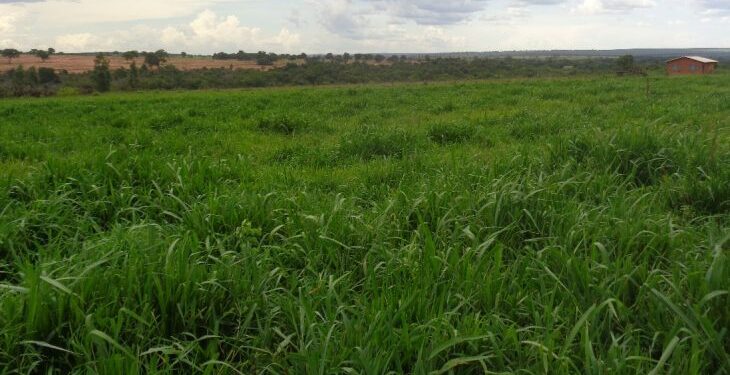 Projeto de Lei propõe regulamentação de movimentos sociais e populares como entidades do Terceiro Setor