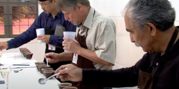 Paraná anuncia vencedores de concurso que escolhe os melhores cafés do estado