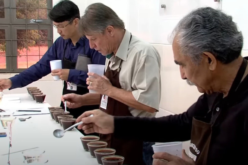 Paraná anuncia vencedores de concurso que escolhe os melhores cafés do estado