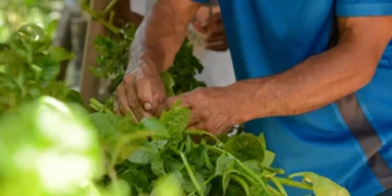 Grupo se compromete com investimentos na Aliança Global Contra a Fome e a Pobreza