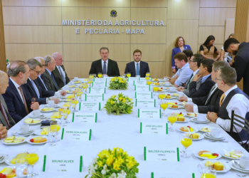 Mapa recebe representantes do agronegócio para discutir ações do ministério