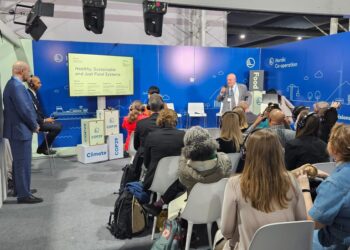 COP 29: Programa de Conversão de Pastagens deve recuperar 40 milhões de hectares degradados