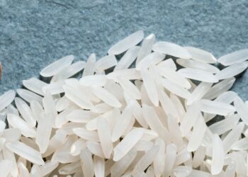 Conab ganha novos parâmetros para a operacionalização do arroz