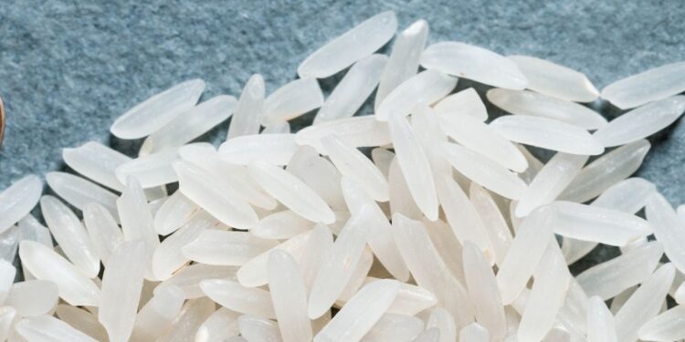 Conab ganha novos parâmetros para a operacionalização do arroz