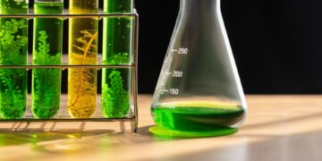 Brasil ultrapassará R$ 1 trilhão em recursos para biocombustíveis nos próximos dez anos