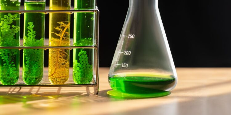 Brasil ultrapassará R$ 1 trilhão em recursos para biocombustíveis nos próximos dez anos