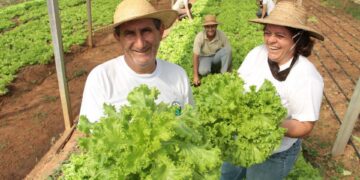 Publicado decreto com ações de pesquisa e inovação para a agricultura familiar