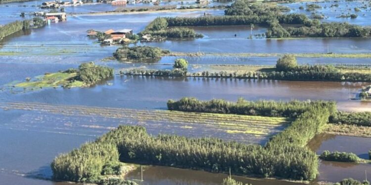 Lula sanciona lei que concede descontos a produtores rurais do RS