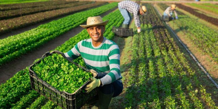 Com foco no agro, missão oficial de empresários indianos ao Brasil visa ampliar parcerias e negócios bilaterais