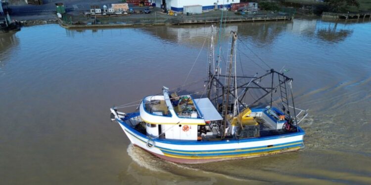 Governo lança Propesc para regularizar embarcações de pesca e atualizar registros