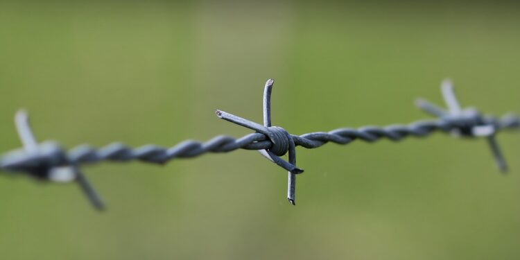 CCJ da Câmara aprova texto que aumenta pena por invasão à propriedades privadas