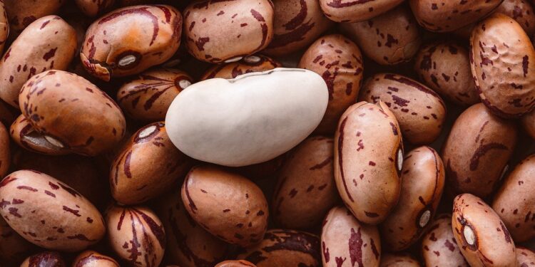 Preços do feijão caem com excesso de oferta e demanda retraída, aponta Cepea