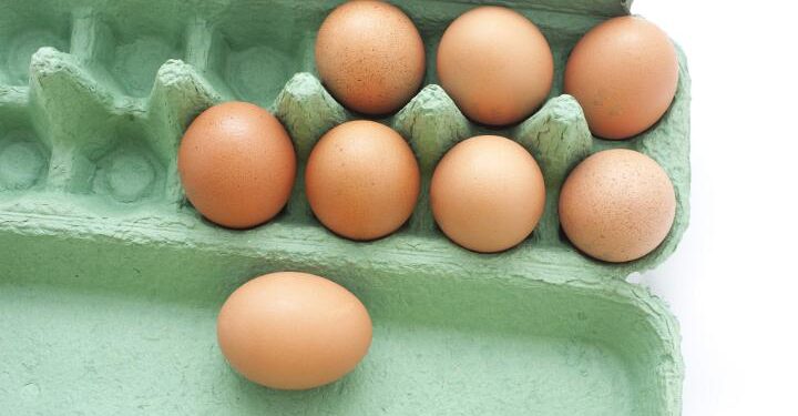 Produção recorde de ovos em 2024 equilibra mercado e desafia poder de compra dos avicultores