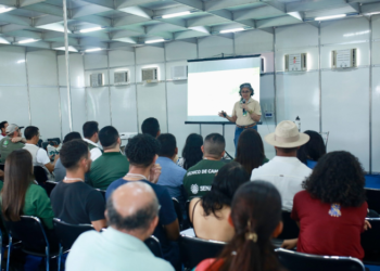 Piauí: Mapa oferece oficina sobre Sistema Orgânico de Produção Apícola a profissionais do agro