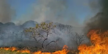 MT: Áreas produtivas regularizadas apresentam menor incidência de incêndios