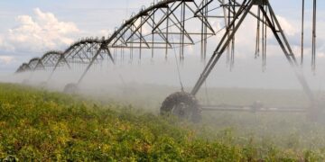 MIDR reconhece novo Polo de Agricultura Irrigada no Ceará