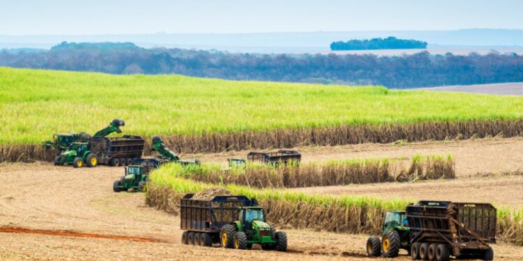 Demanda aquecida impulsiona volume e preços do etanol em São Paulo