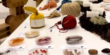 Bioeconomia amazônica: o desafio de gerar renda e conservar a floresta