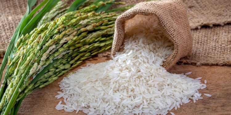 Importações de arroz são as maiores em 21 anos