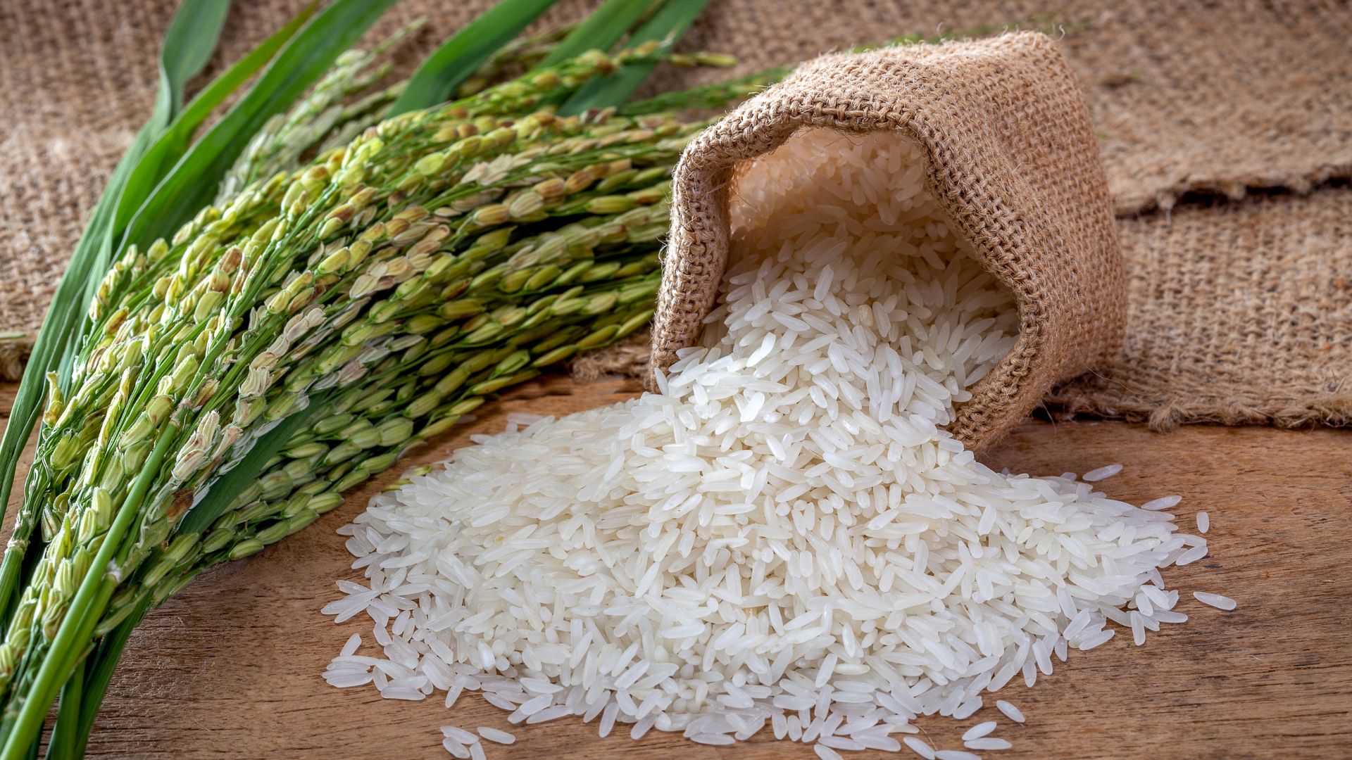 Importações de arroz são as maiores em 21 anos