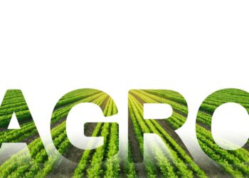 PIB do agro registra crescimento no terceiro trimestre de 2024