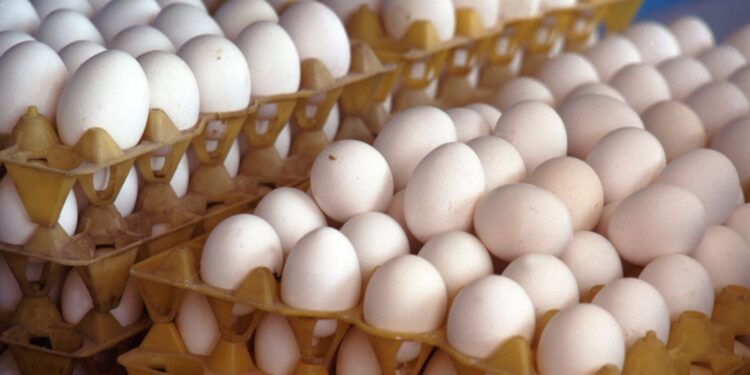 Preços dos ovos sobem mais de 20% na semana