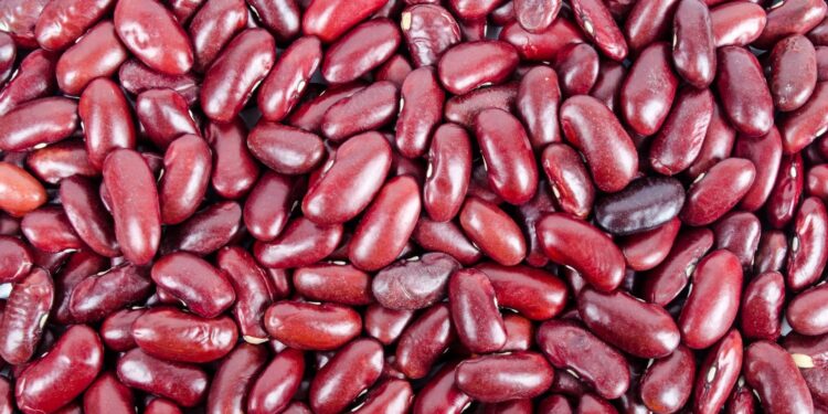 Exportações são cruciais para sustentar o mercado de feijão em 2025