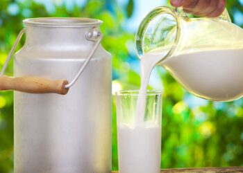 Setor leiteiro nacional espera crescimento em 2025