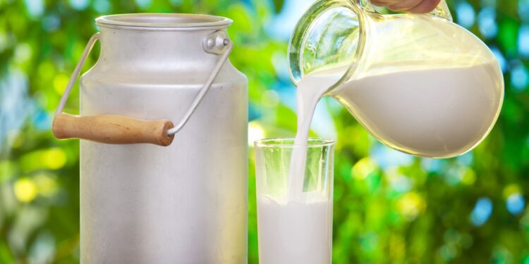 Setor leiteiro nacional espera crescimento em 2025