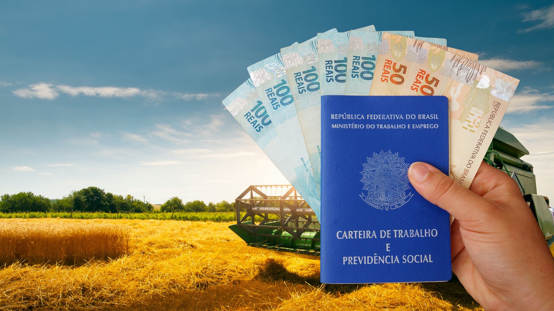 Novo salário mínimo e o impacto para trabalhadores do agro