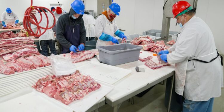 Crescimento dos preços de alimentos impulsiona indústria em novembro de 2024