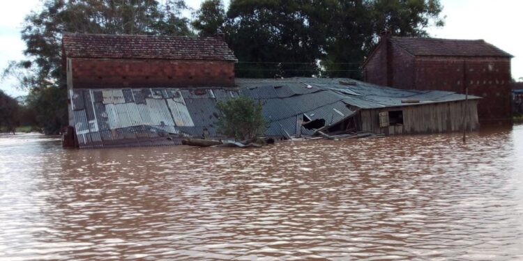 Governo libera R$ 2,5 bilhões para agricultura familiar no RS após chuvas