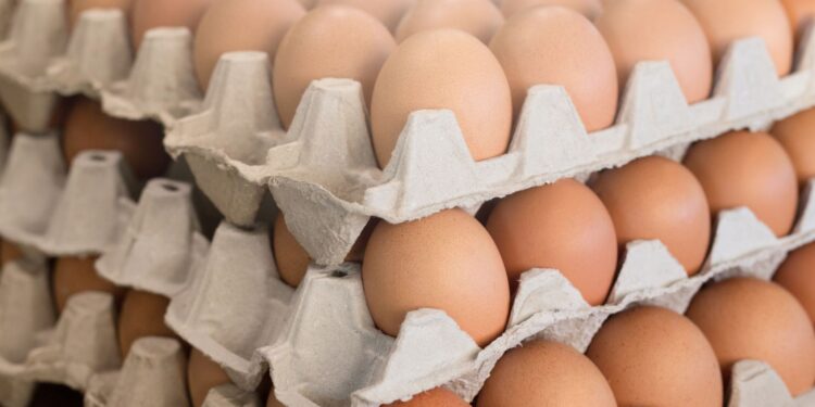 Preços dos ovos iniciam o ano em queda