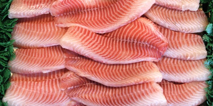 Preços da tilápia encerram 2024 com novas quedas