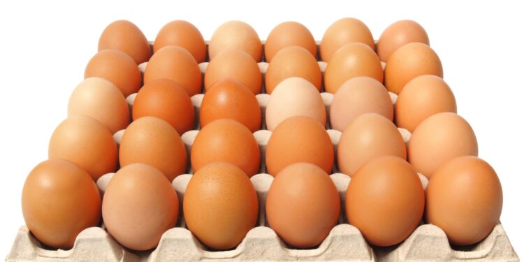Preços dos ovos encerram 1ª quinzena do ano estáveis