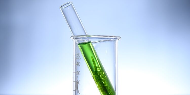 São Paulo fomenta produção sustentável da macaúba para biocombustíveis