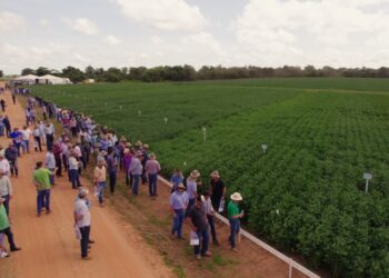 Aprosoja MT inicia ciclo de visitas técnicas ao CTECNO Araguaia