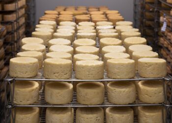 Parlamentar lança manual com instruções para obtenção do Selo Queijo Artesanal